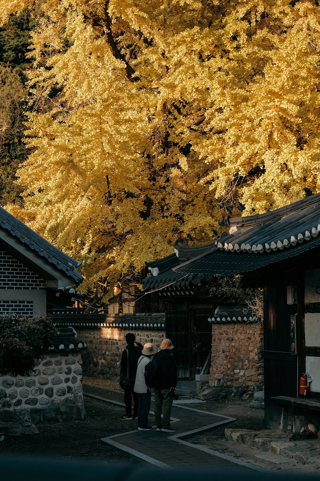 Featured image for 腾冲